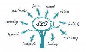 Tree+of+seo+strategy