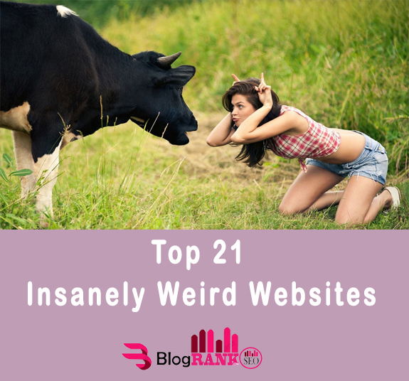 Weird Websites